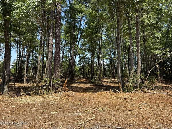 0.46 Acres of Residential Land for Sale in Tabor City, North Carolina