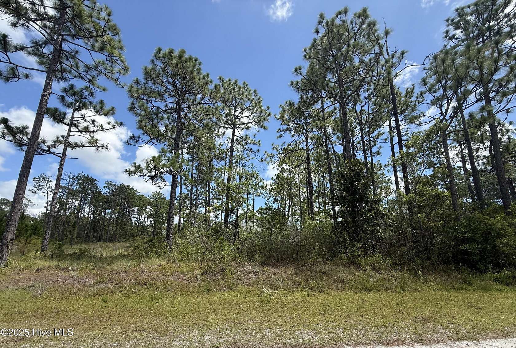 0.26 Acres of Land for Sale in Boiling Spring Lakes, North Carolina