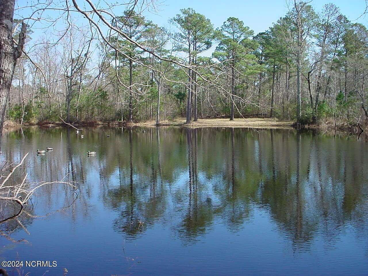 75 Acres of Land for Sale in Rocky Point, North Carolina