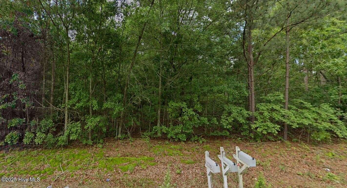 10 Acres of Residential Land for Sale in Marston, North Carolina