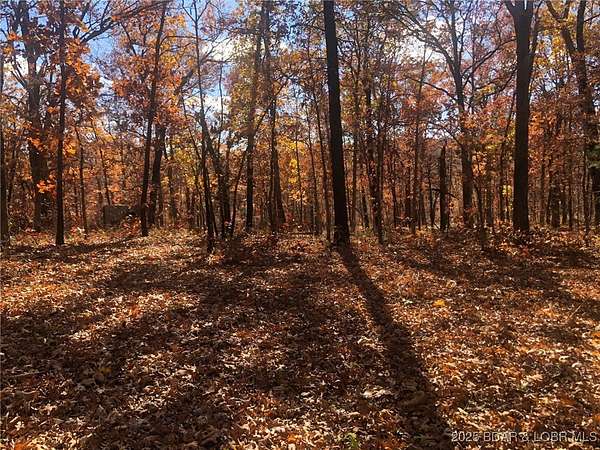 41.2 Acres of Recreational Land for Sale in Versailles, Missouri