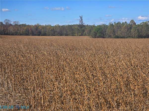 8.5 Acres of Land for Sale in Heathsville, Virginia
