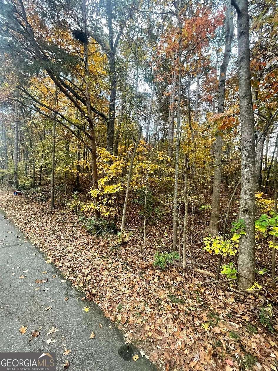 0.4 Acres of Residential Land for Sale in Lavonia, Georgia