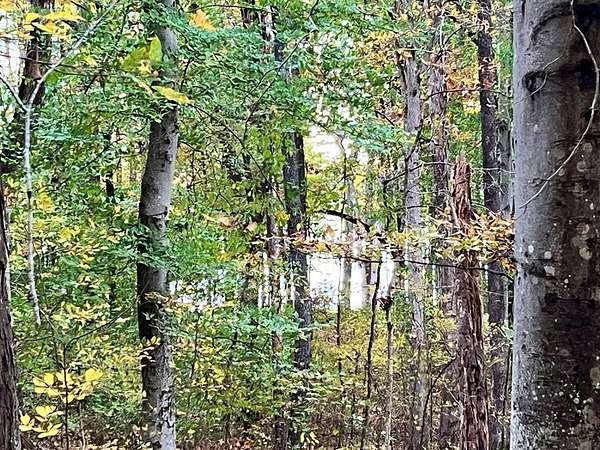 1.8 Acres of Residential Land for Sale in Springville, Tennessee