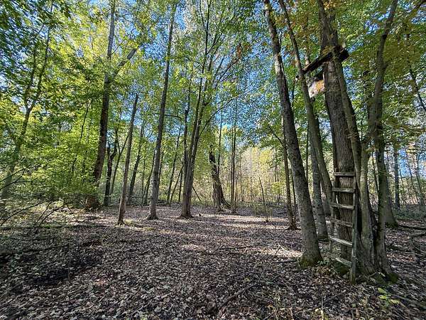 80 Acres of Recreational Land for Sale in Sand Lake, Michigan