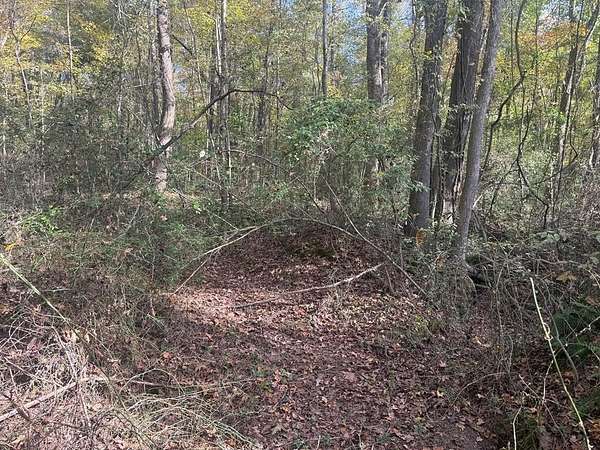 2.6 Acres of Residential Land for Sale in McKenzie, Tennessee