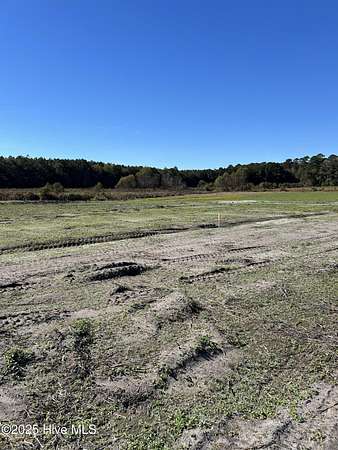 1 Acre of Residential Land for Sale in Wallace, North Carolina