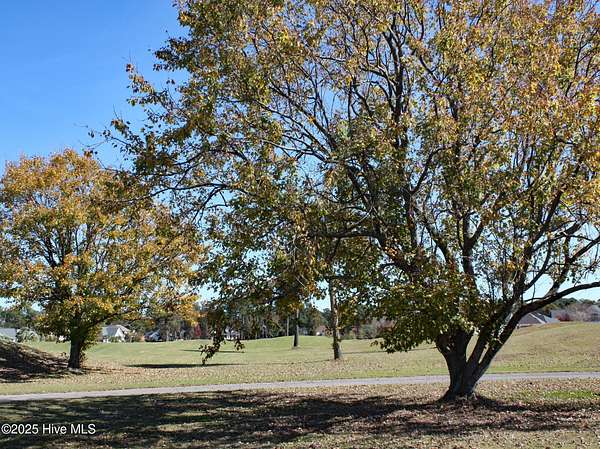 0.24 Acres of Residential Land for Sale in Ocean Isle Beach, North Carolina