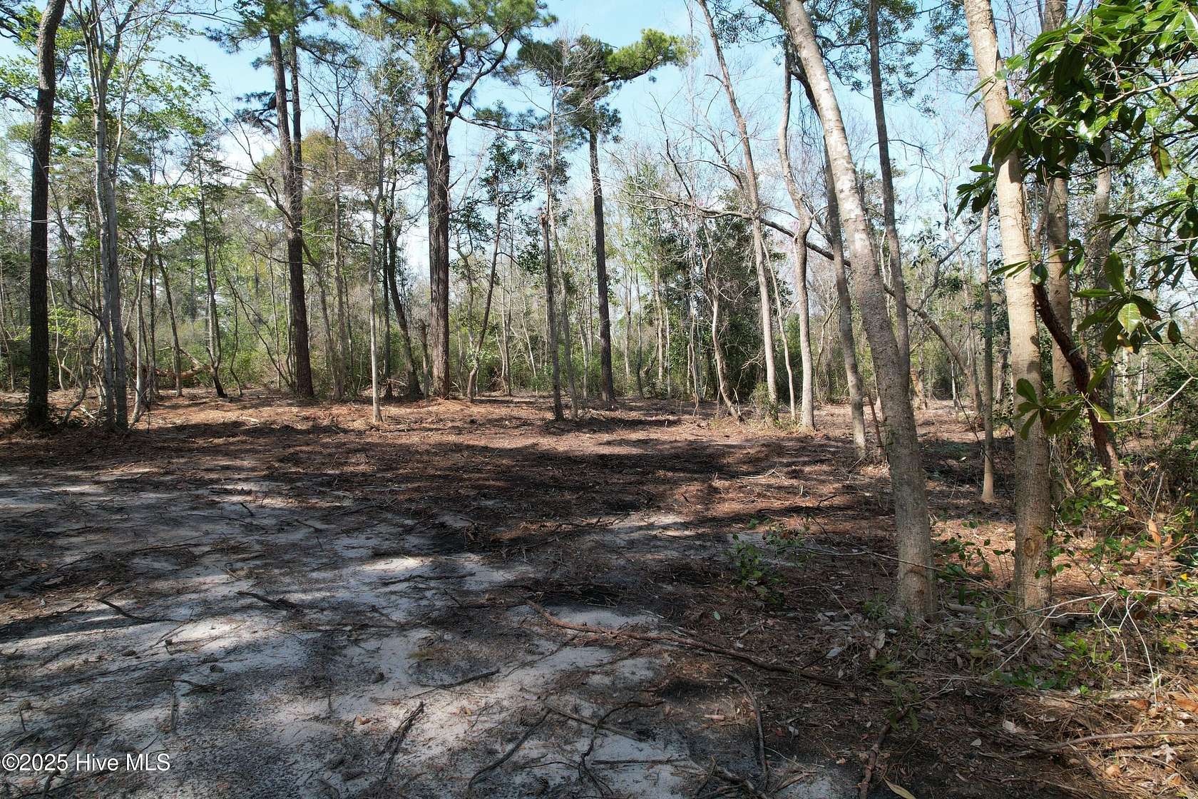 1.33 Acres of Residential Land for Sale in Wilmington, North Carolina