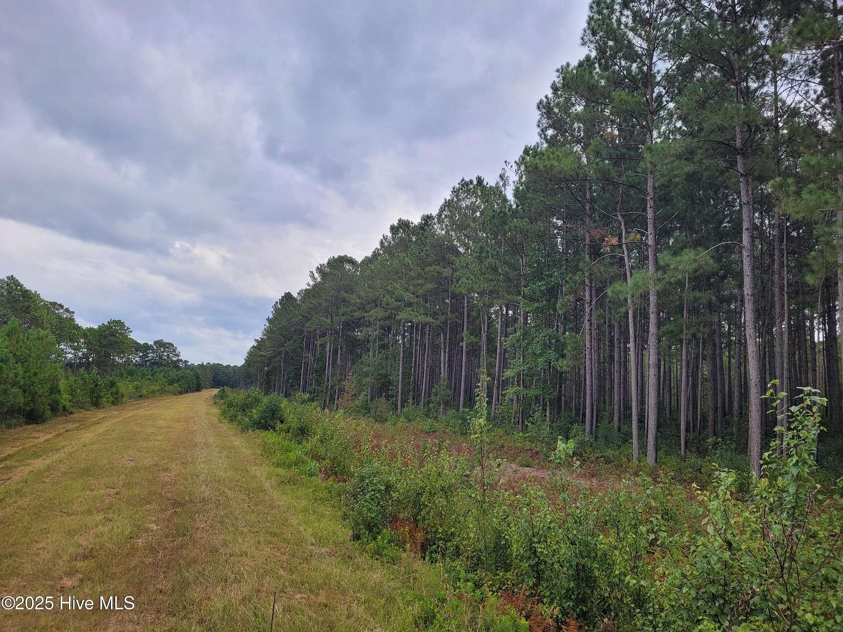 58.8 Acres of Land for Sale in Ash, North Carolina