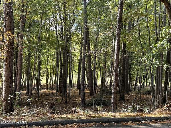 0.51 Acres of Residential Land for Sale in West End, North Carolina