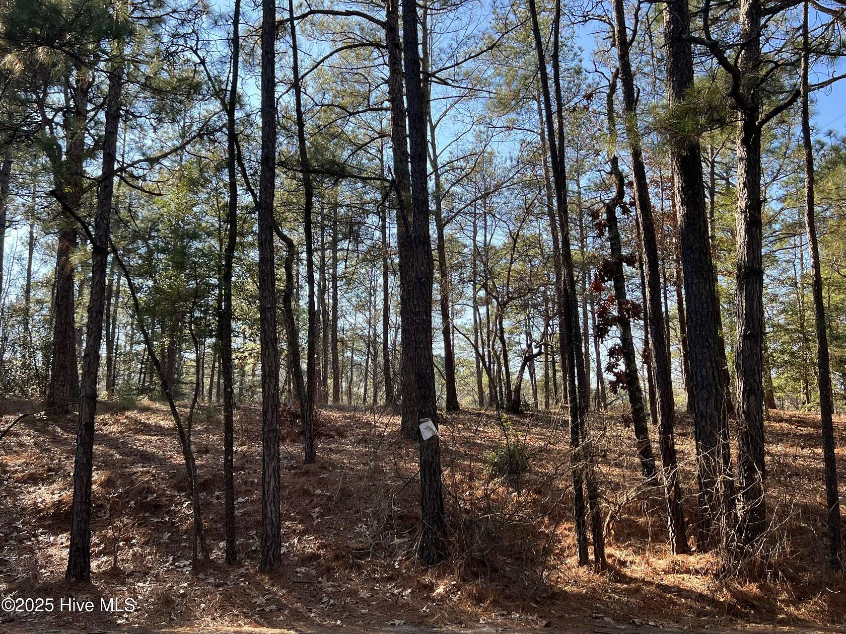 0.55 Acres of Residential Land for Sale in Vass, North Carolina