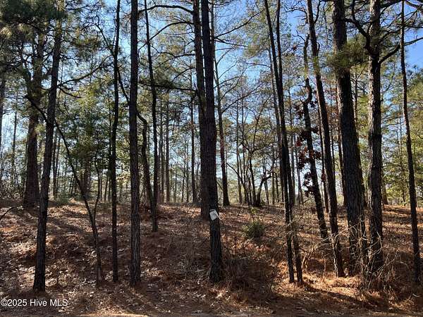 0.55 Acres of Residential Land for Sale in Vass, North Carolina