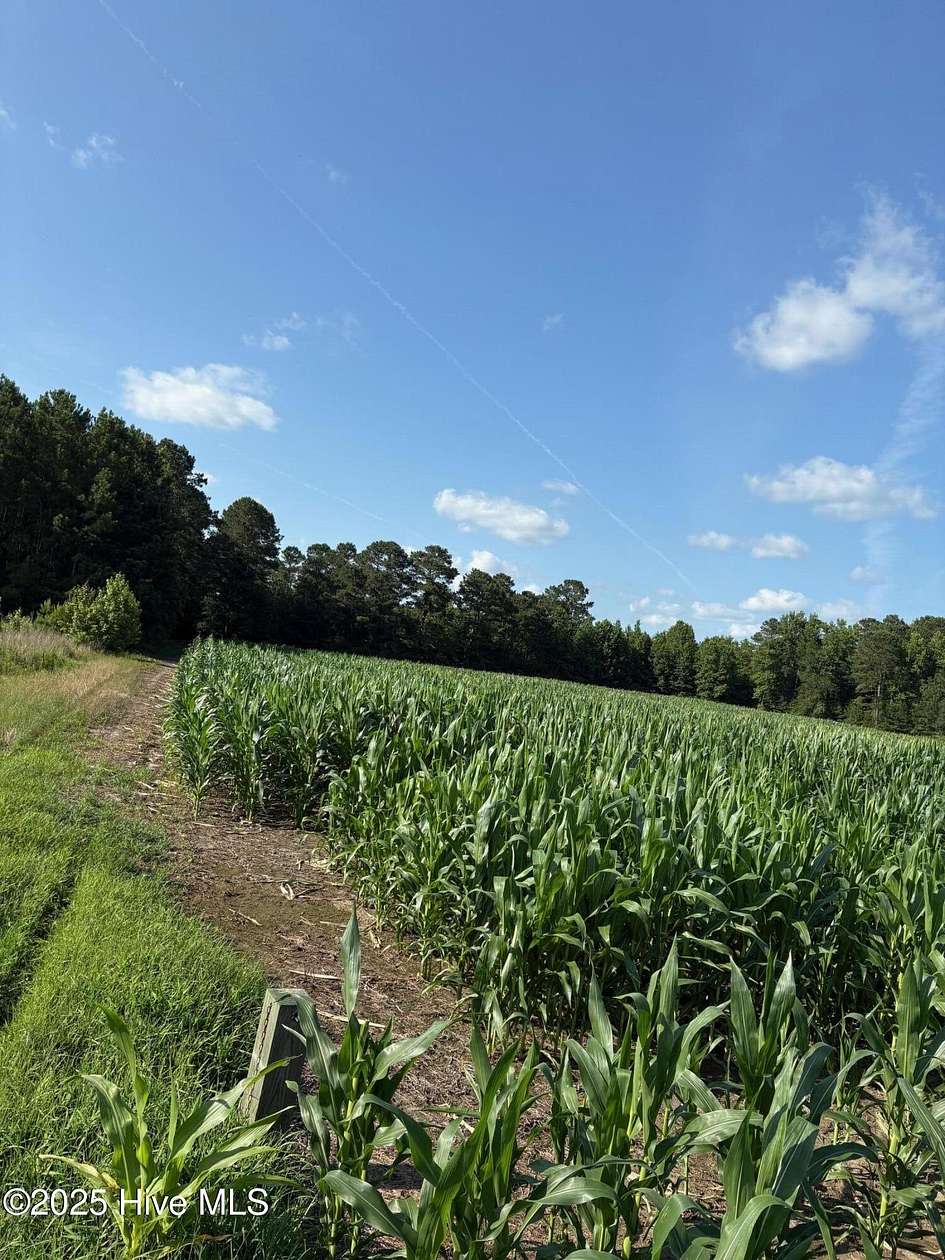 52.7 Acres of Recreational Land for Sale in Tabor City, North Carolina