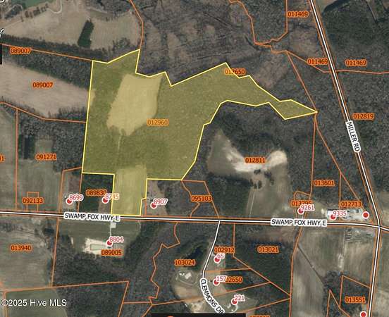 52.7 Acres of Recreational Land for Sale in Tabor City, North Carolina