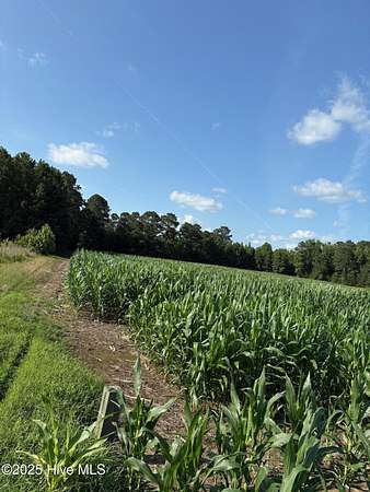 52.7 Acres of Recreational Land for Sale in Tabor City, North Carolina