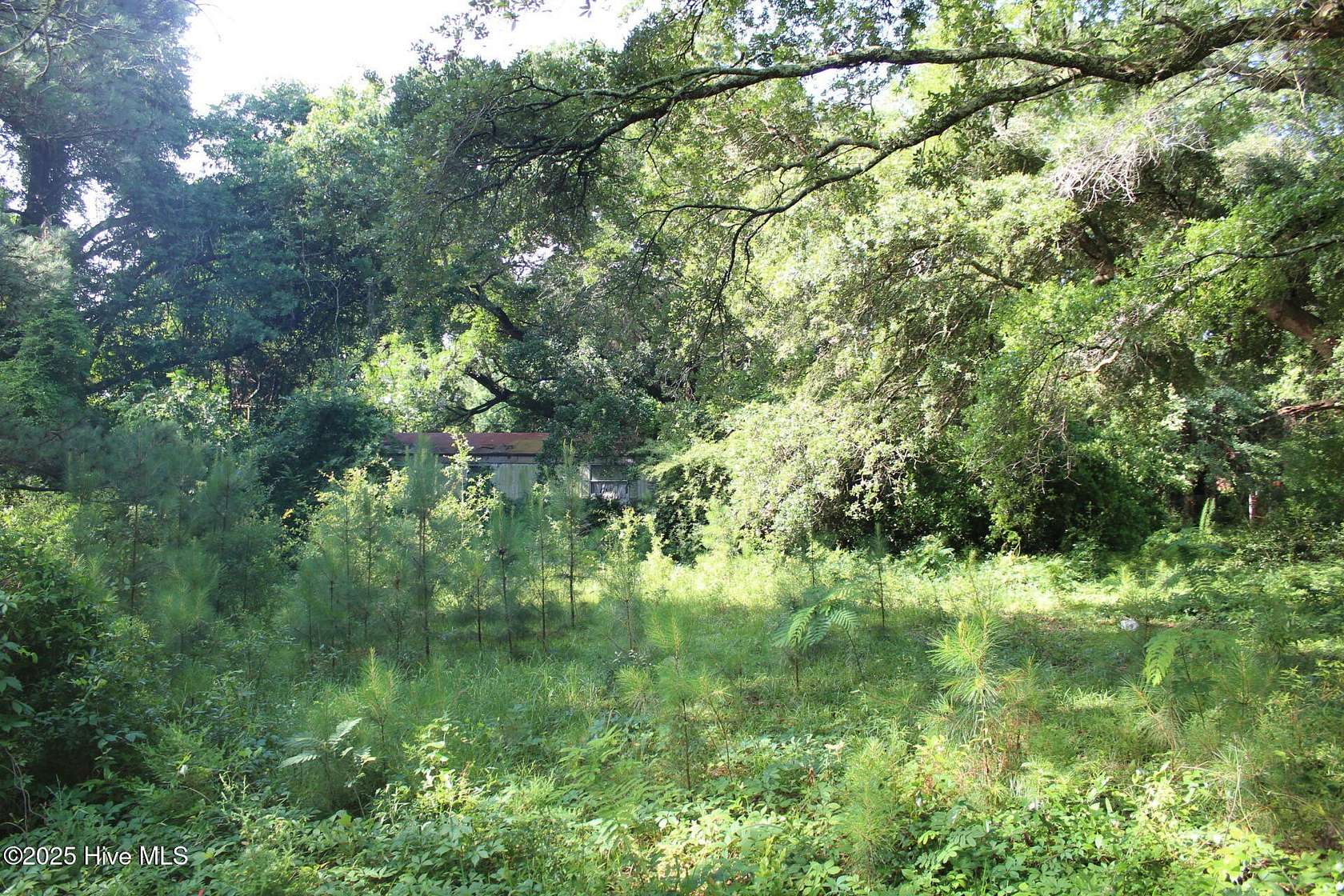 0.64 Acres of Residential Land for Sale in Wilmington, North Carolina