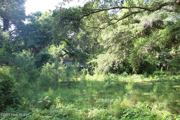 0.64 Acres of Residential Land for Sale in Wilmington, North Carolina