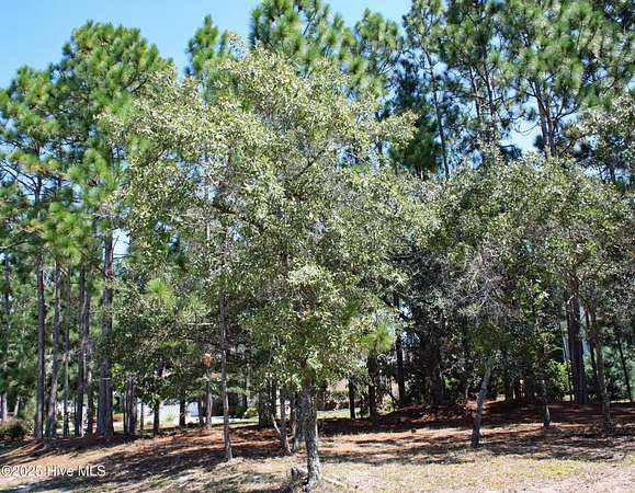 0.3 Acres of Residential Land for Sale in Ocean Isle Beach, North Carolina