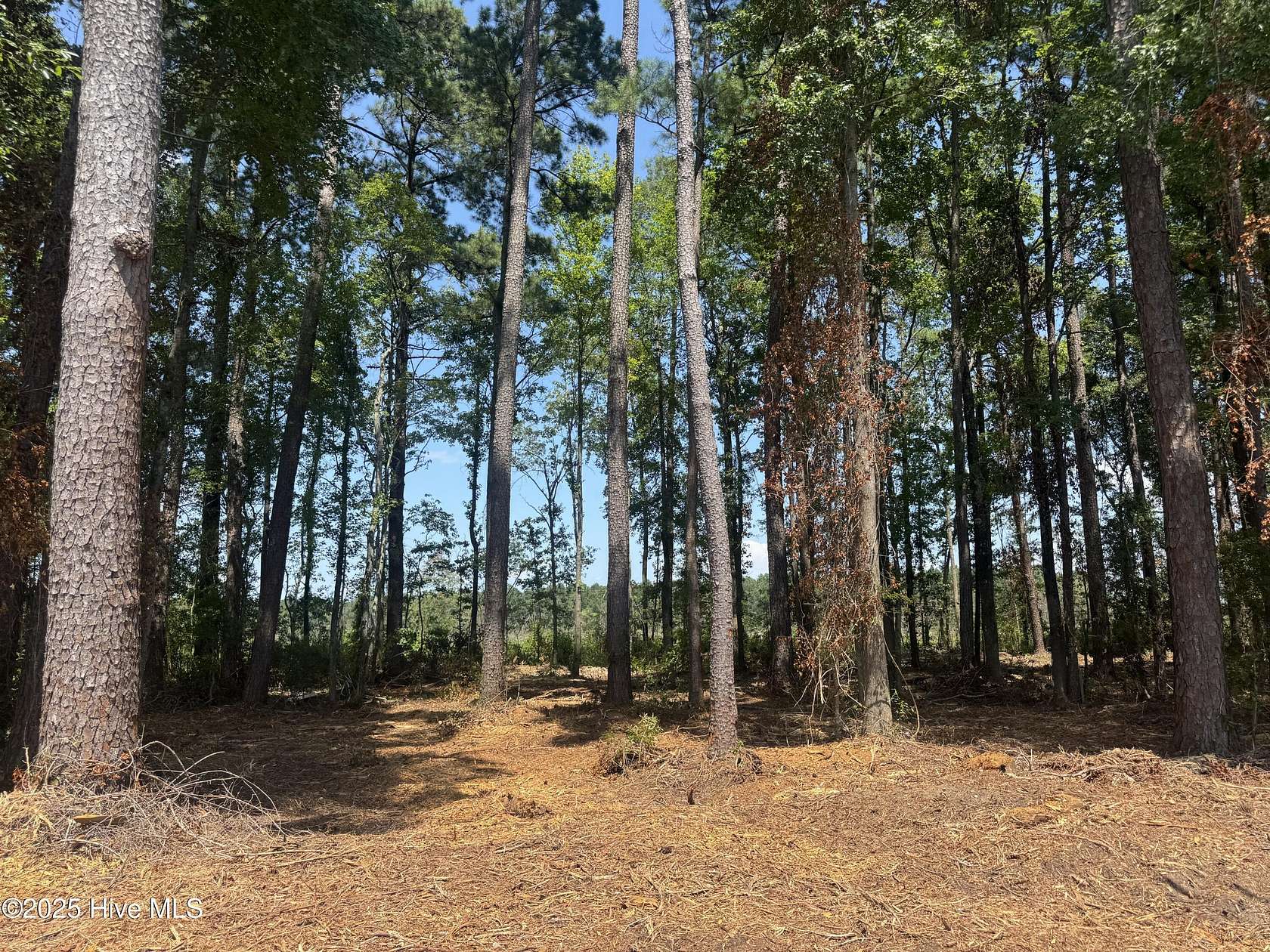 0.93 Acres of Residential Land for Sale in Tabor City, North Carolina