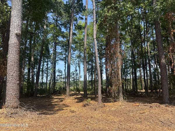 0.93 Acres of Residential Land for Sale in Tabor City, North Carolina