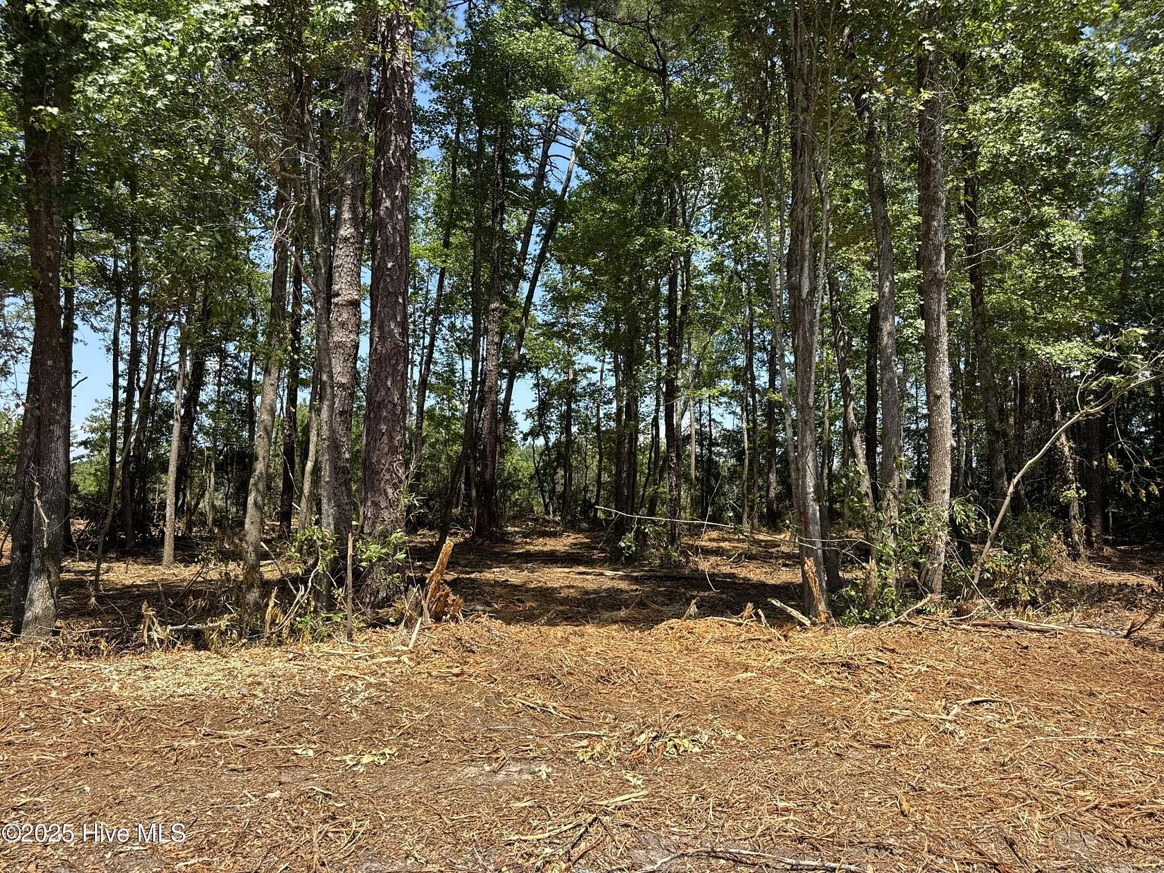 0.92 Acres of Residential Land for Sale in Tabor City, North Carolina
