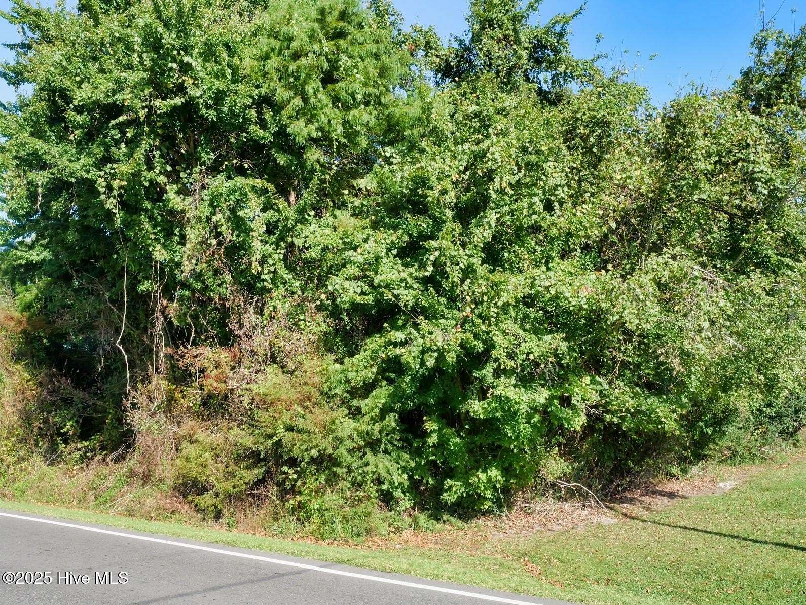 5 Acres of Land for Sale in Elizabeth City, North Carolina