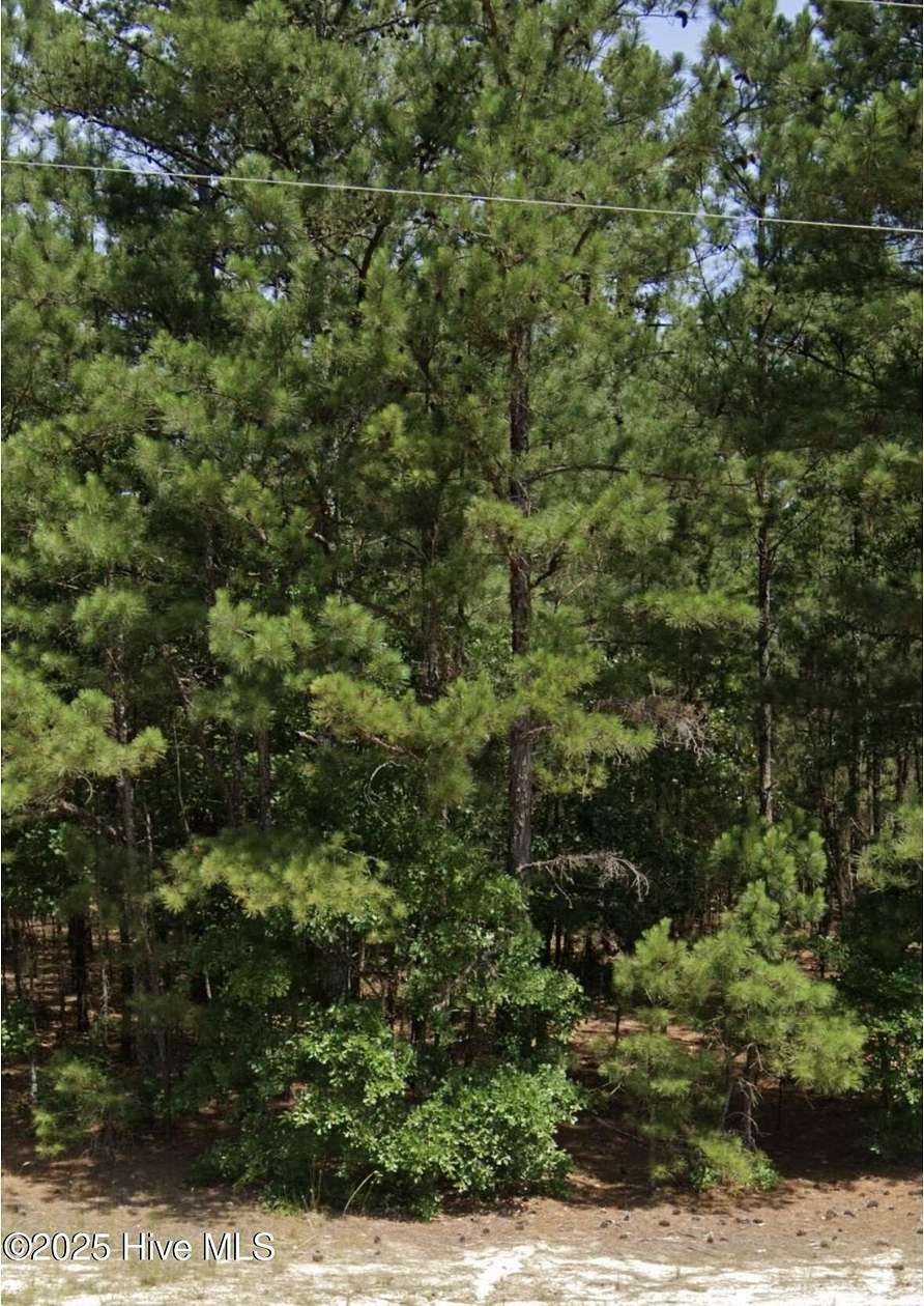 41 Acres of Recreational Land for Sale in Jackson Springs, North Carolina