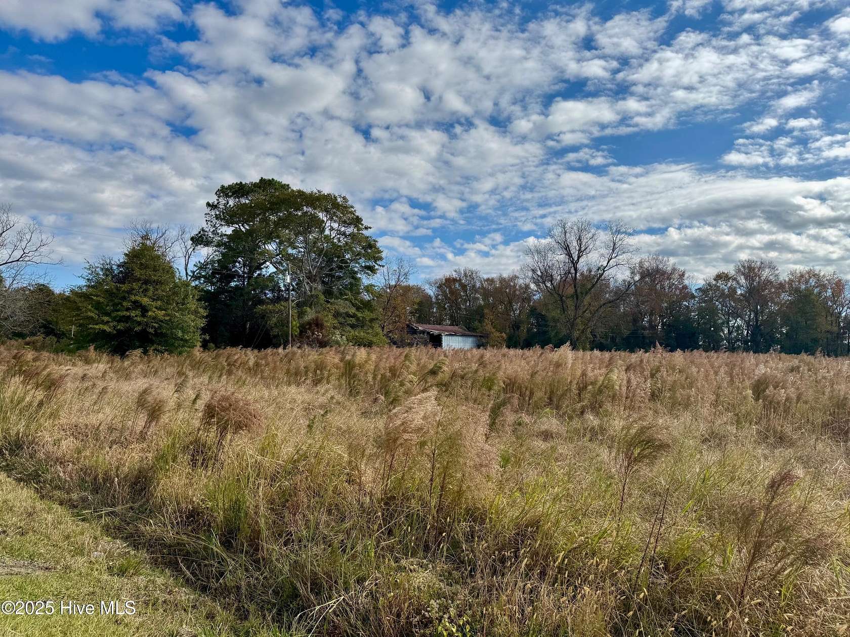 16.5 Acres of Land for Sale in Cove City, North Carolina