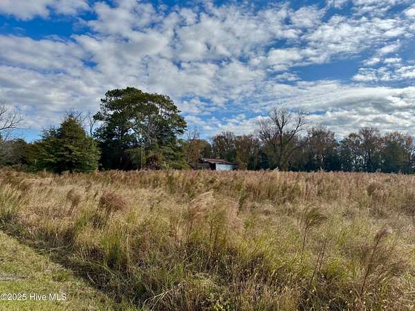 16.5 Acres of Land for Sale in Cove City, North Carolina