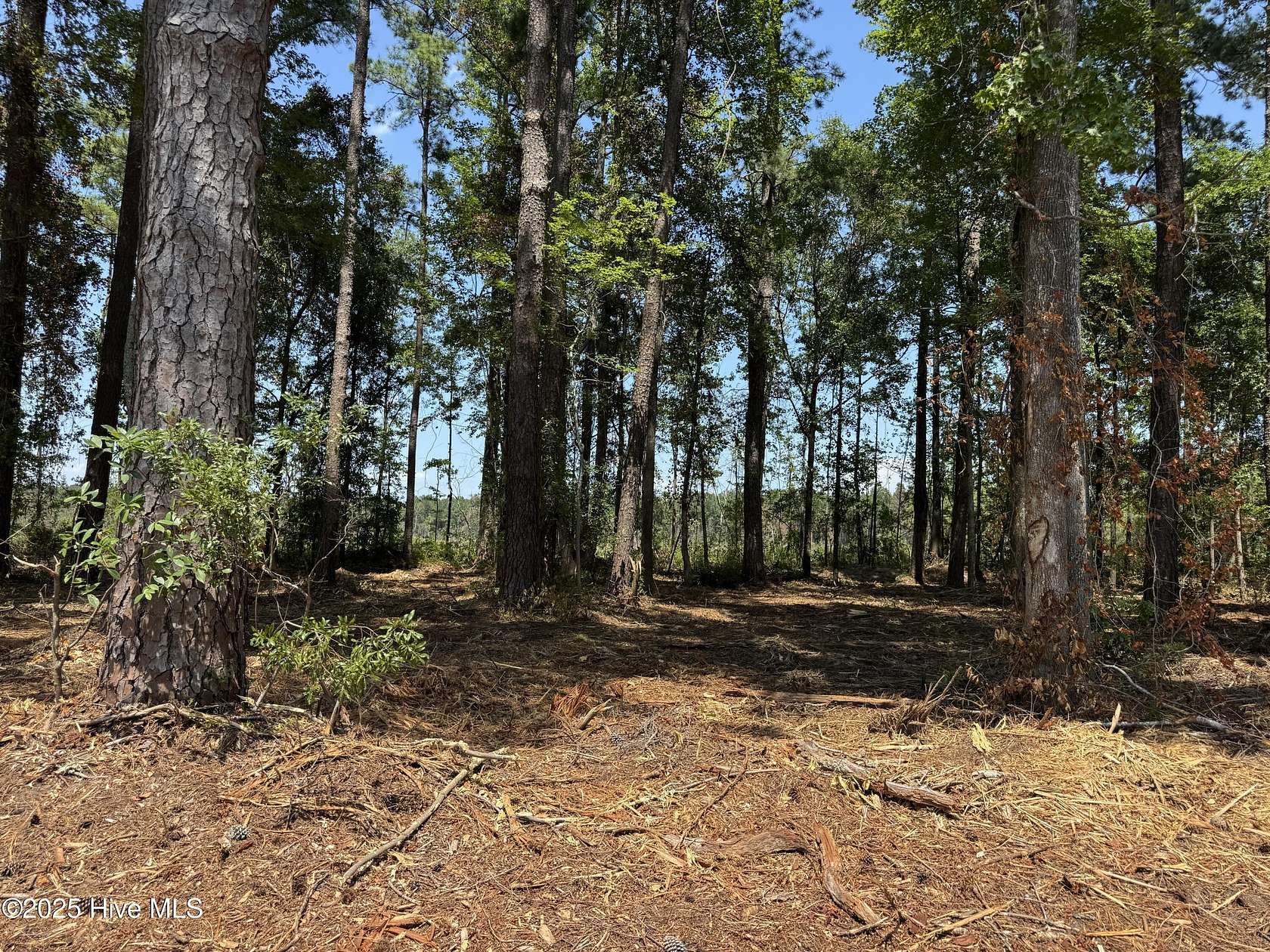 0.46 Acres of Residential Land for Sale in Tabor City, North Carolina