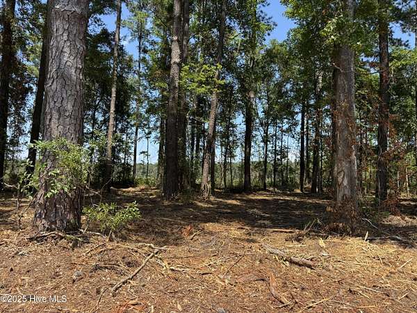 0.46 Acres of Residential Land for Sale in Tabor City, North Carolina