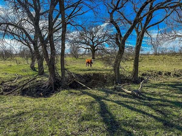 10.5 Acres of Land for Auction in Jacksboro, Texas
