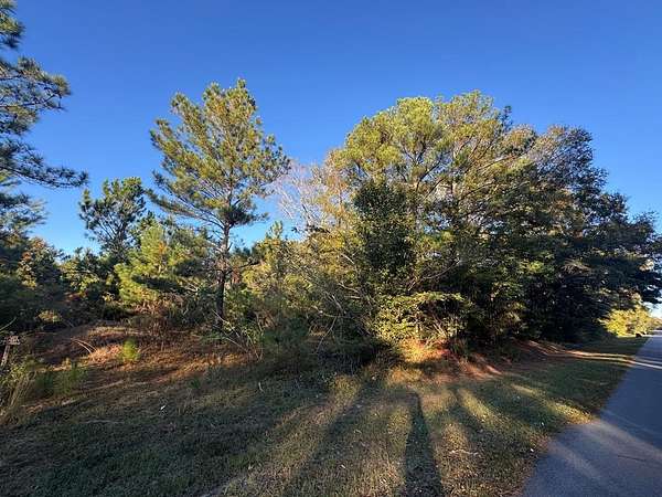 2.8 Acres of Land for Sale in Dothan, Alabama