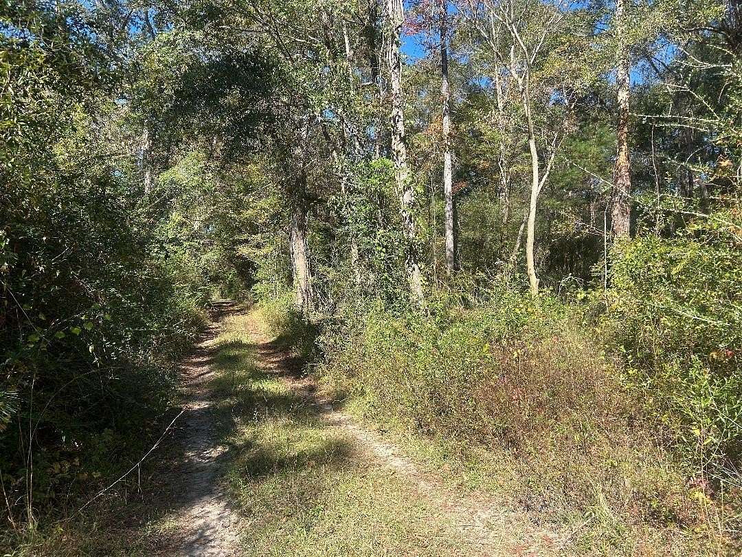 0.93 Acres of Residential Land for Sale in Bonifay, Florida