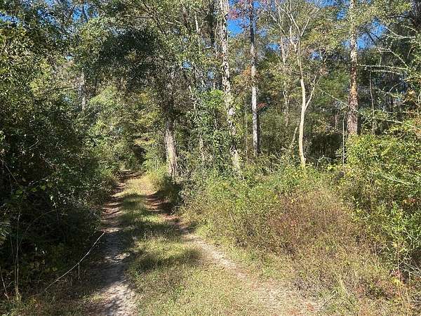 0.93 Acres of Residential Land for Sale in Bonifay, Florida