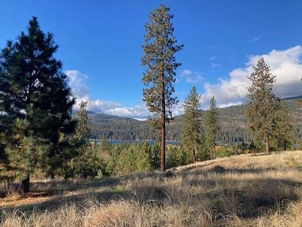0.95 Acres of Land for Sale in Kettle Falls, Washington