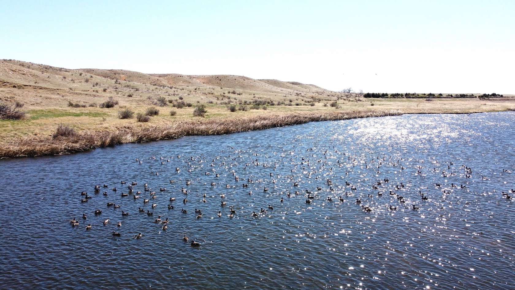 57 Acres of Recreational Land & Farm for Sale in Sterling, Colorado