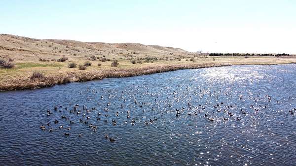 57 Acres of Recreational Land & Farm for Sale in Sterling, Colorado