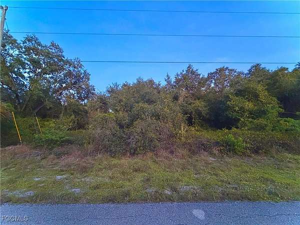 0.5 Acres of Residential Land for Sale in Lehigh Acres, Florida