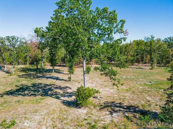 0.7 Acres of Residential Land for Sale in Big Sandy, Texas
