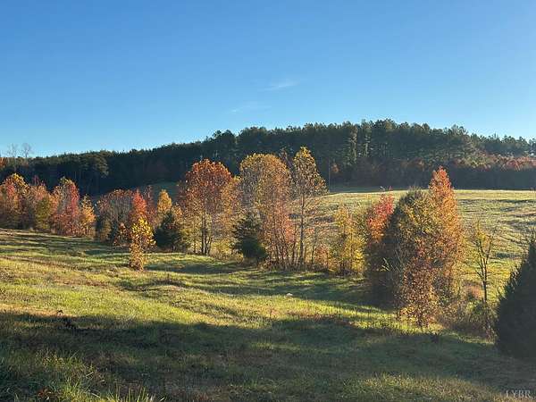 59.5 Acres of Land for Sale in Gladys, Virginia