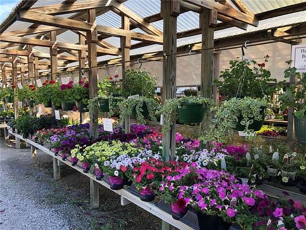 11.5 Acres of Improved Mixed-Use Land for Sale in Eureka Springs, Arkansas