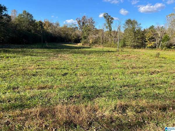 12 Acres of Land for Sale in Pinson, Alabama