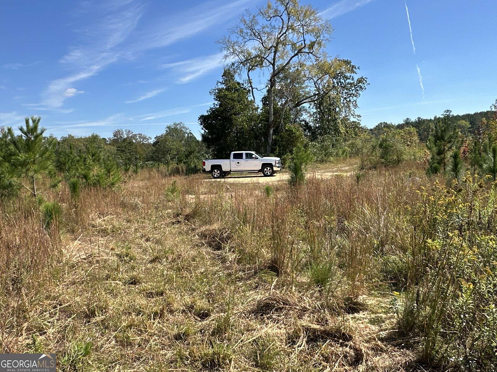 77.6 Acres of Agricultural Land for Sale in Cedartown, Georgia