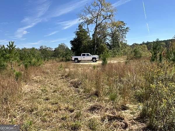 77.6 Acres of Agricultural Land for Sale in Cedartown, Georgia
