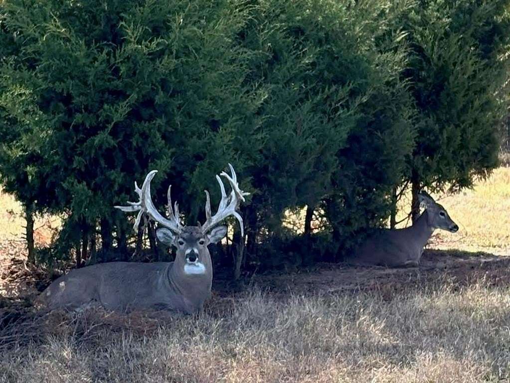 920 Acres of Land for Sale in Boley, Oklahoma