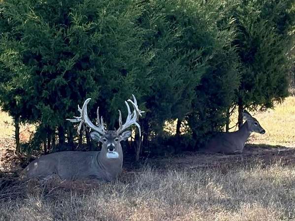 920 Acres of Land for Sale in Boley, Oklahoma