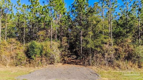 2.54 Acres of Land for Sale in Pace, Florida
