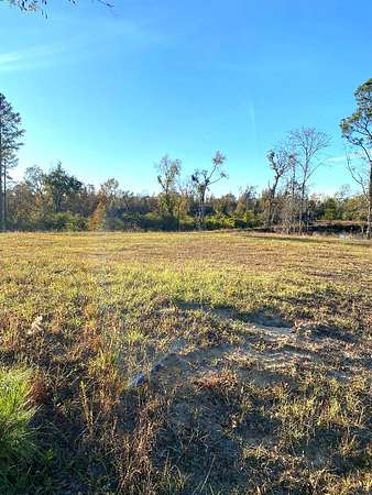 13 Acres of Land for Sale in Swainsboro, Georgia